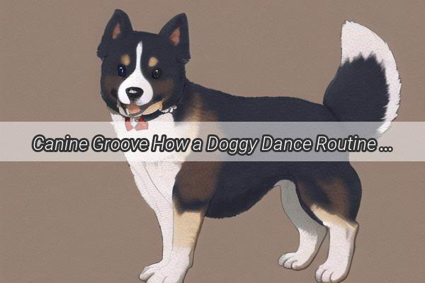 Canine Groove How a Doggy Dance Routine Swept Me Off My Feet And Won My Girlfriends Heart